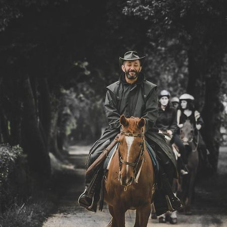 Glamping In Toscana, Luxury Tents In Agriturismo Biologico 소르나노 외부 사진