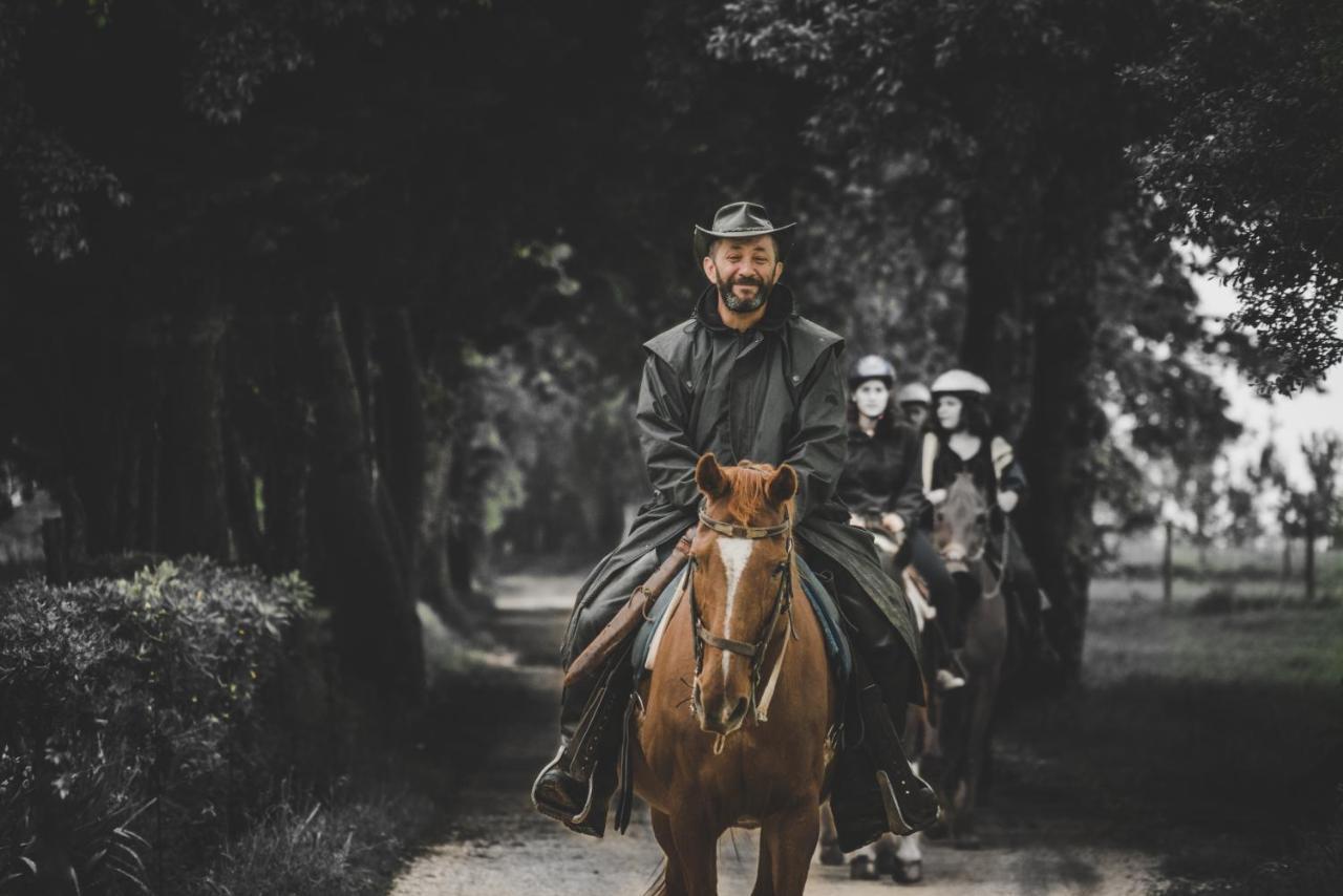 Glamping In Toscana, Luxury Tents In Agriturismo Biologico 소르나노 외부 사진